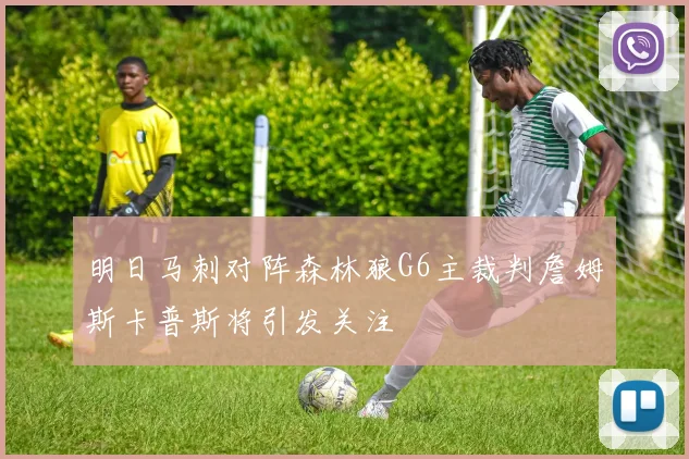 明日马刺对阵森林狼G6主裁判詹姆斯卡普斯将引发关注